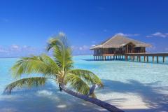 Maldives - Séjour plongée Medhufushi Island Resort 
