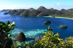 Indonésie - Croisière Raja Ampat WALLACEA