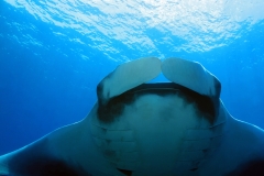 Séjour plongée à Nosy Komba