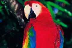 Costa Rica - Séjour dans la Baie de Drake