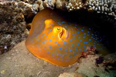 Birmanie - Croisière Archipel des Iles Mergui sur Thailand Aggressor