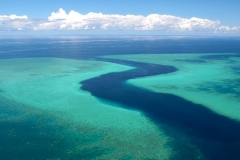 Mayotte - Croisière plongée privée à bord de l'Alamanda