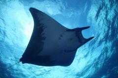 Açores - Séjour à Santa Maria