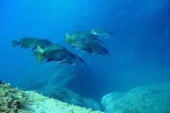 Grèce - Séjour à l'hôtel Calypso