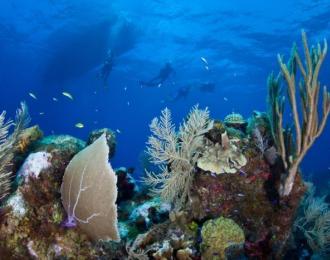 Bonaire - Eden des Caraïbes