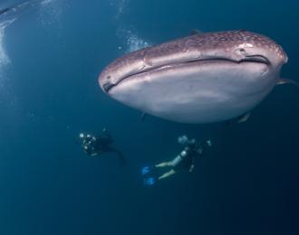 Philippines - Croisière Visayas sur Seadoors